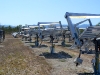 allunga-08.jpg