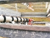 rubber_sample_ozone_cracking.jpg
